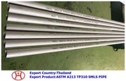 ASTM A213 TP310 SMLS الأنابيب