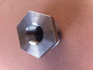 ASME B 16. 11  NPT Flush / Hex A 182  F 904 L Duplex Stainless Steel 904 L N08 904 البطانة
